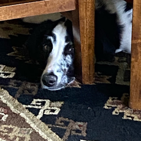 Meet your Posher, Michael - Picture 1 of 1